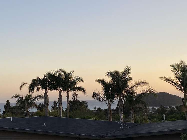 Lot 6 409 The Drive Whangamata_2