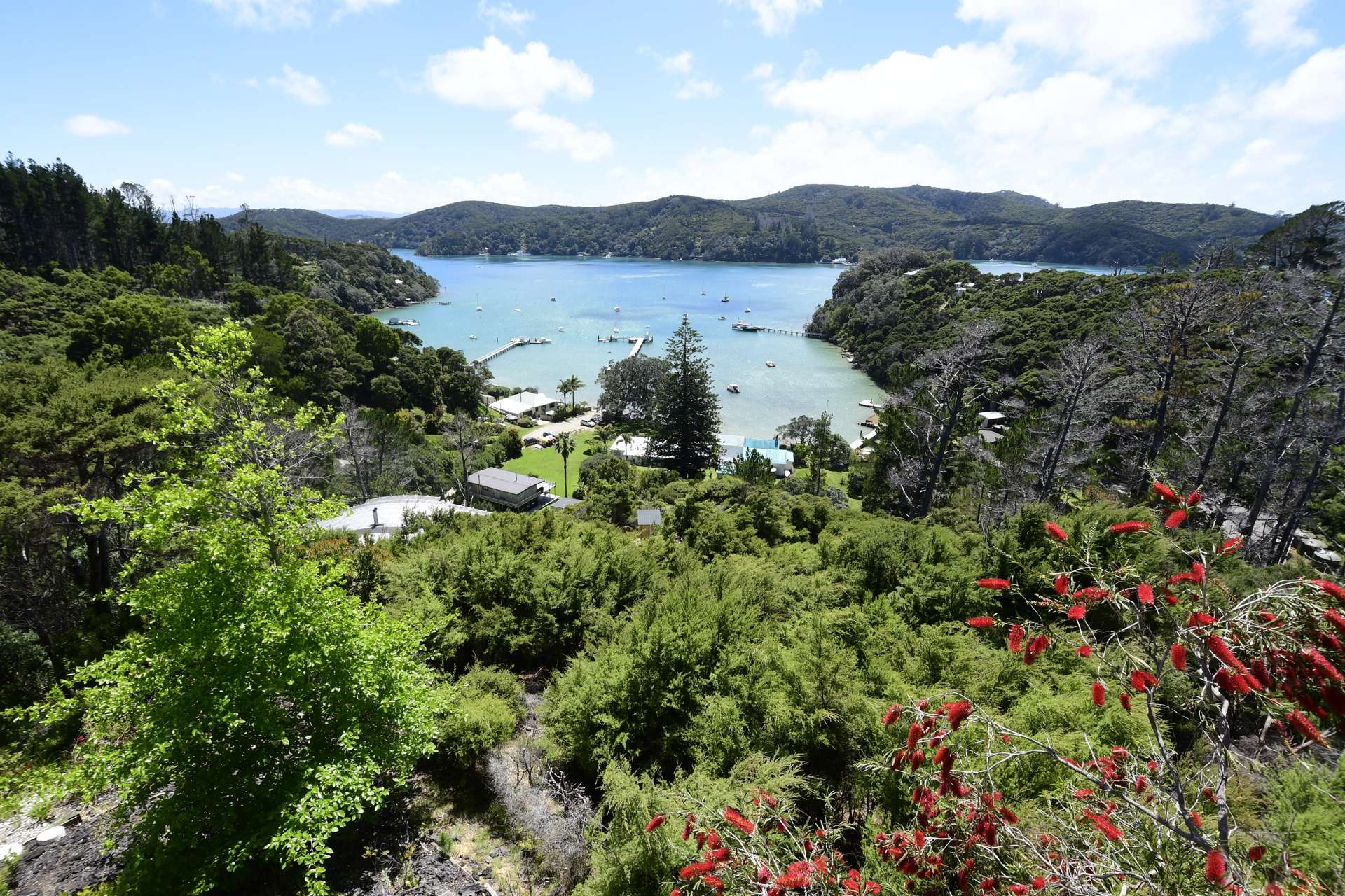 7 Lavinia Place Kawau Island_0