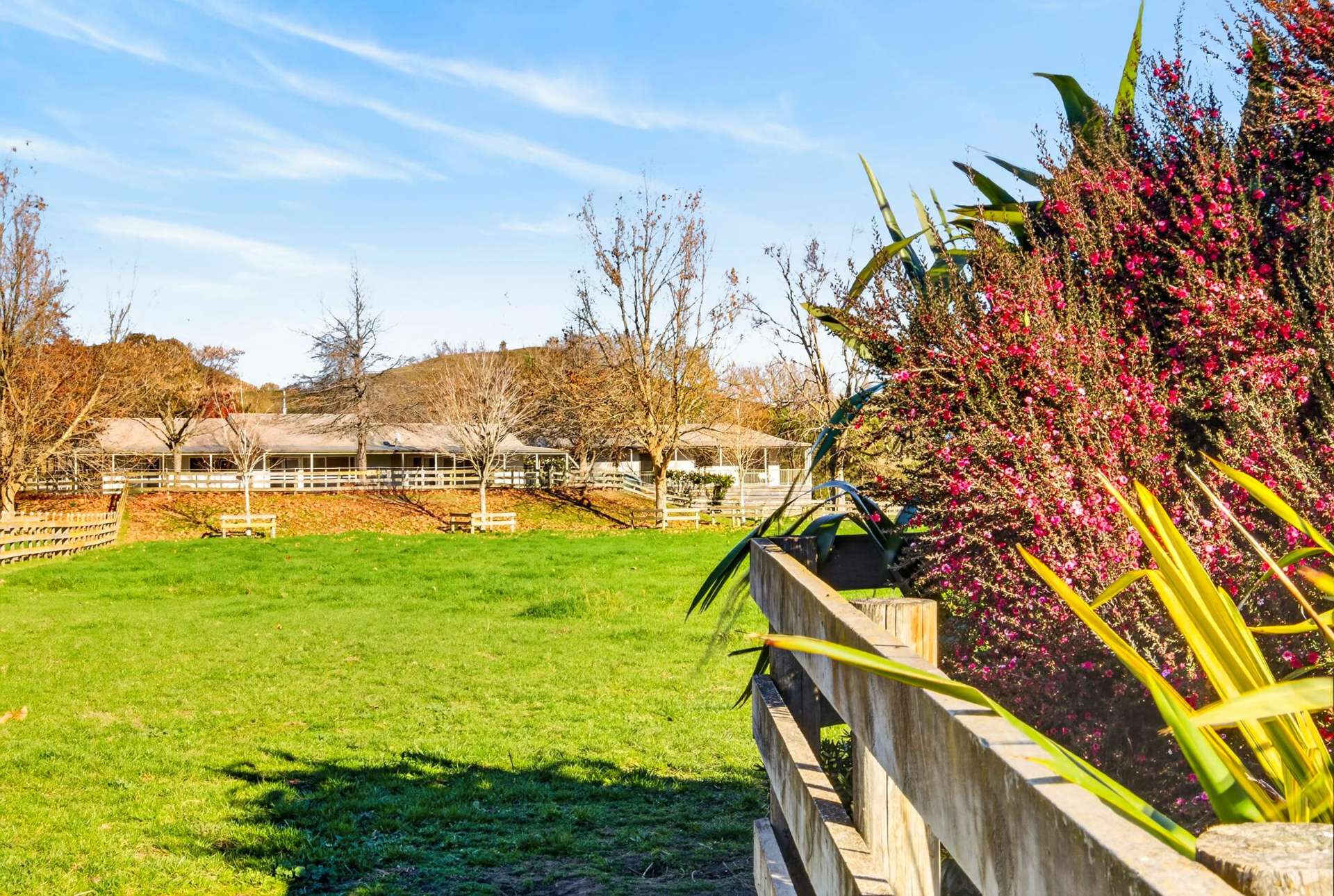 529 Puketitiri Road Puketapu_0