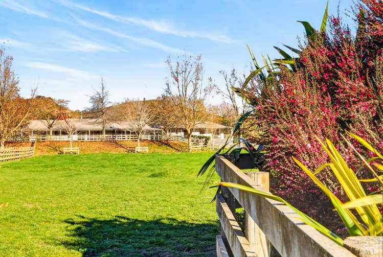 529 Puketitiri Road Puketapu_29
