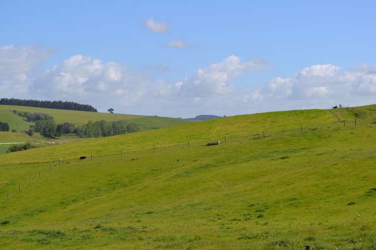 600 Island Stream Road Five Forks and Surrounds_15