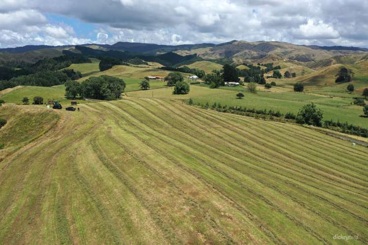 211 Waitetuna Valley Road Raglan_4
