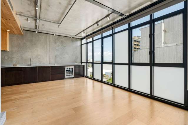 3/16 Vinegar Lane Grey Lynn_4