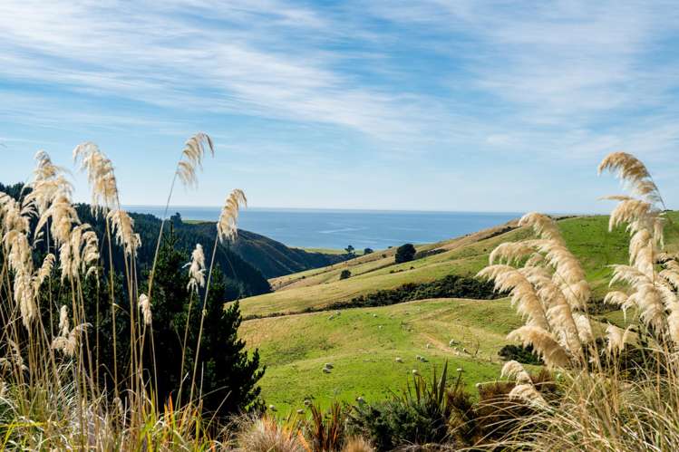 689 Big Stone Road Kuri Bush_26