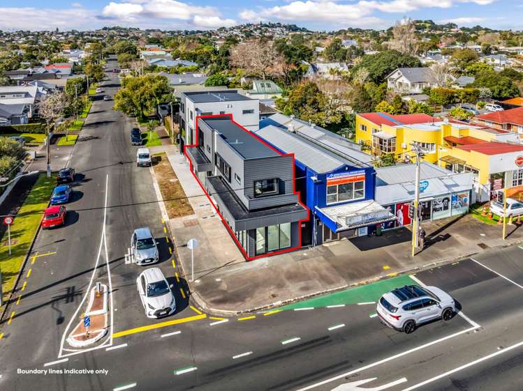 138 Marsden Avenue Mt Eden_10