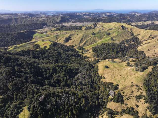 77 Remiger Road Puhoi_3