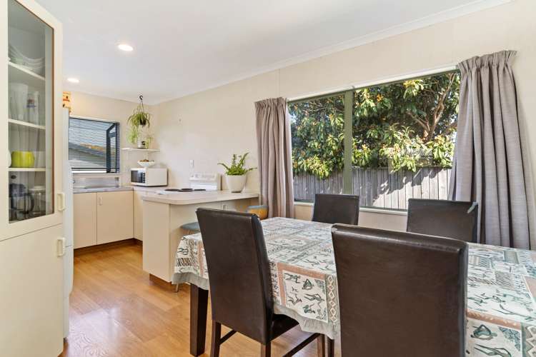 65a Domain Road Papamoa_14