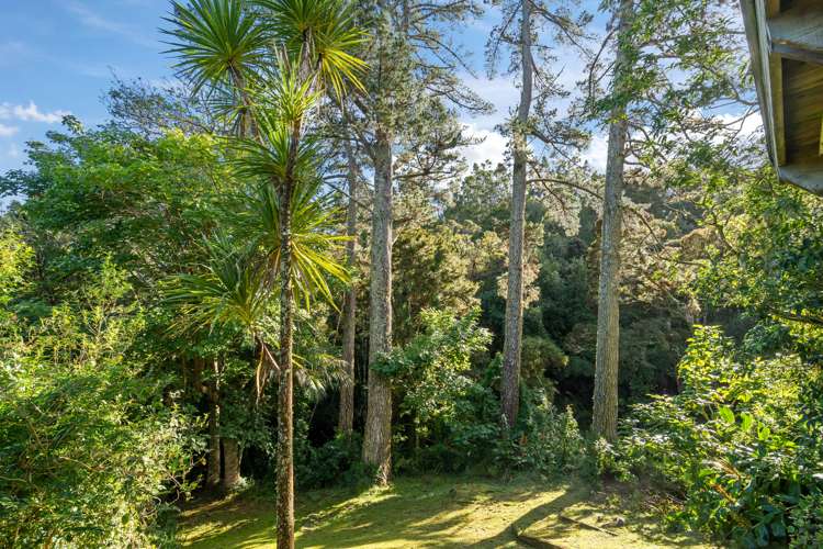 19 Jessie Street Parahaki_19