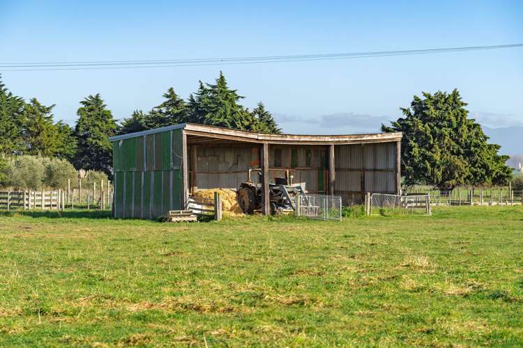 Lake Ferry Road, Dyerville Martinborough_14