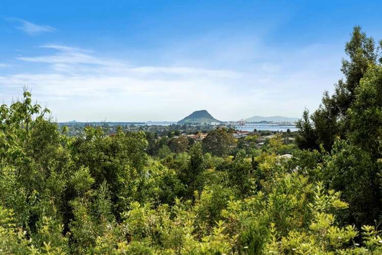 50 Upper Ohauiti Road_0