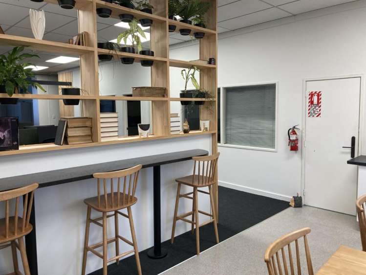 Level 1, 390  Grey Street Hamilton East_9