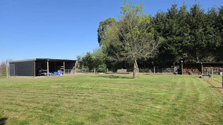 9 David Street Hinds_22