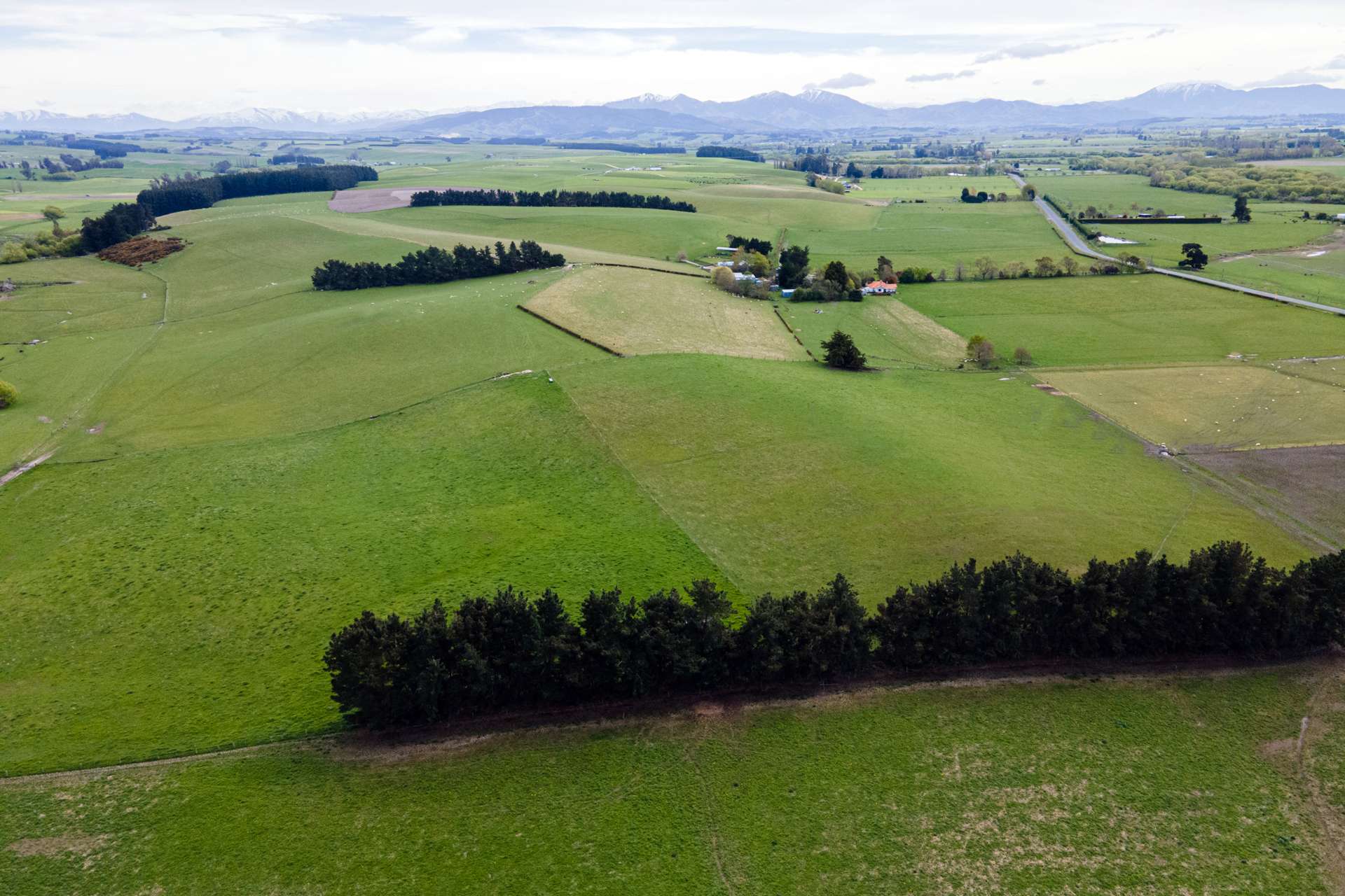 385 Earl Road Temuka_0