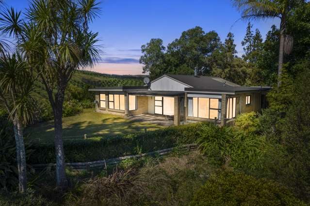 227 Youngson Road Whakamarama_2