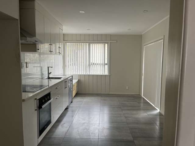 19 Parfitt Street Mount Roskill_2