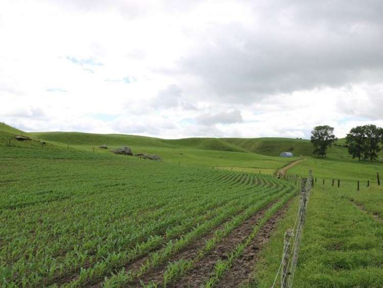 1190 Lake Arapuni Road Putaruru_38