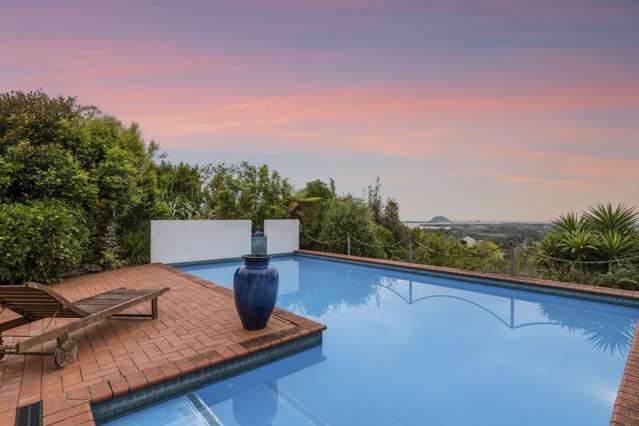 20 Dawn View Place Te Puna_2