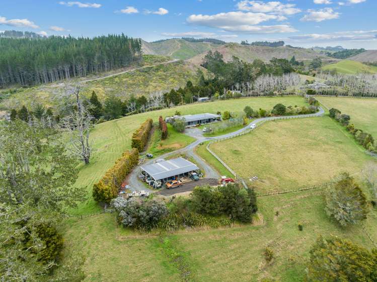 83 Waitangi Road Glenbervie_0