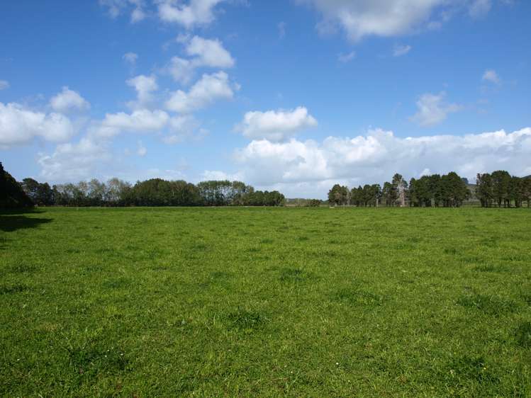 87 West Road Clevedon_6