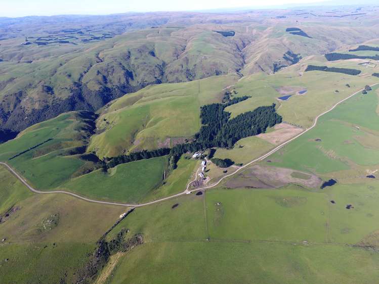 659 Ritchie Road Dunback_6