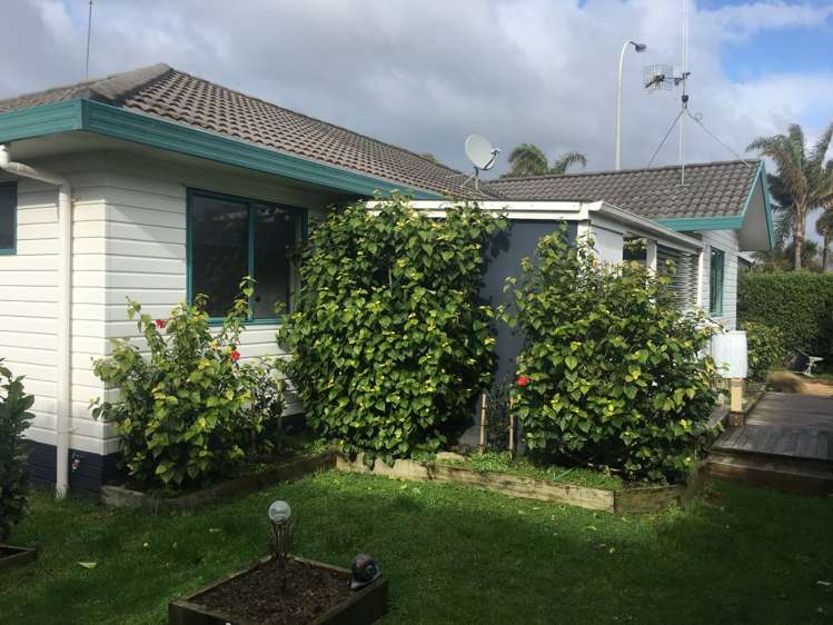 59a Maranui Street Mount Maunganui_3