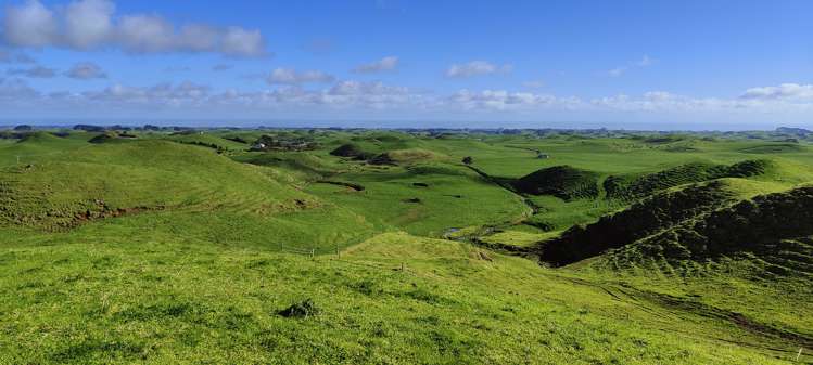 Parihaka Road Pungarehu_11