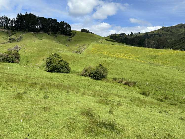 70 Kens Lane Sawyers Bay_6