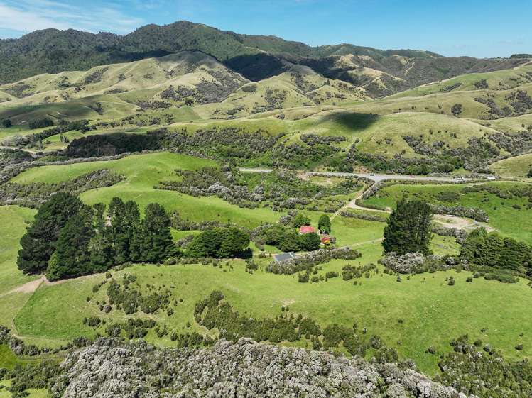 85696 State Highway 2 Mount Bruce_12