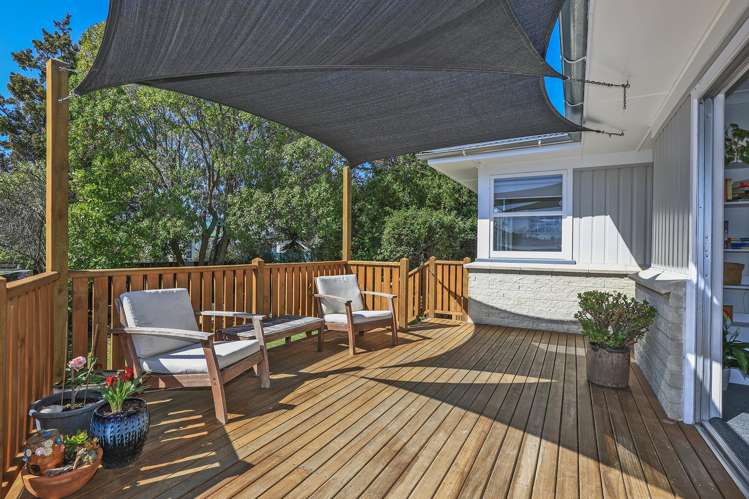 6 Porritt Place Tamatea_1