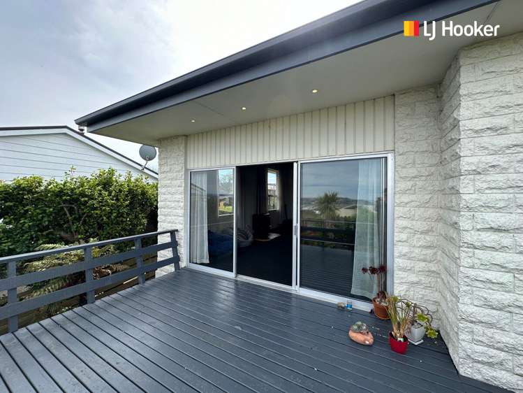 246 Larnach Road Waverley_20