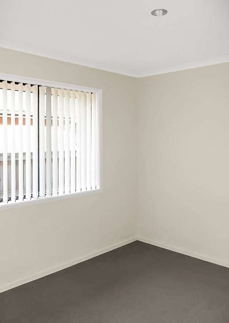 136 Brown Street Kingswell_9