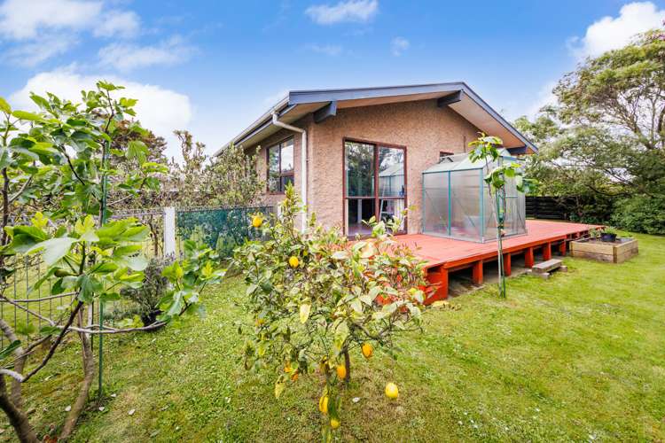 2 Kaimanawa Street Kelvin Grove_16