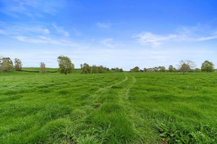 18 Pond Road Matamata_36