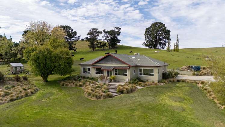 93 Naylor Road and 633 Racecourse Road Matakanui_22