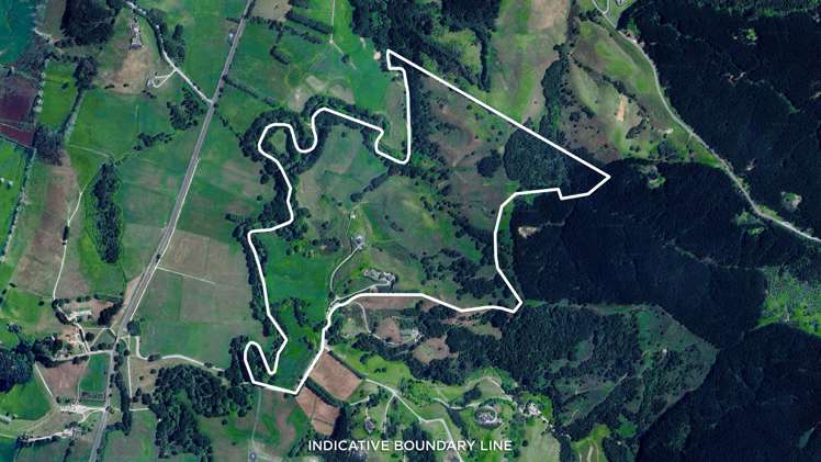 84 Spindler Road Wellsford_5