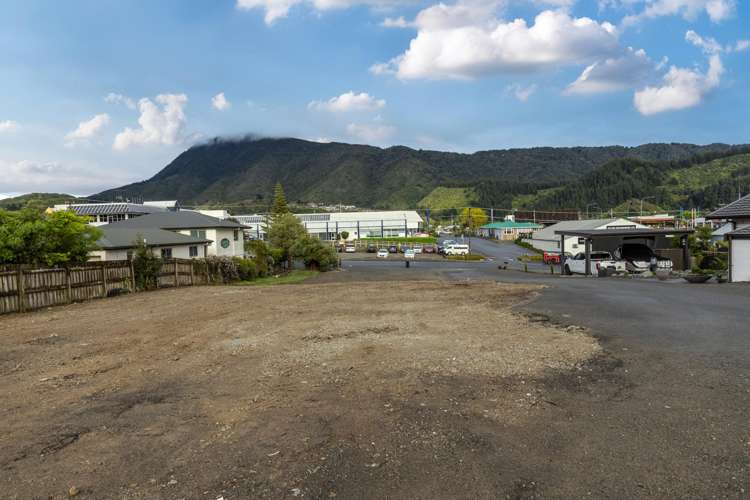 66 Wellington Street. Picton_5