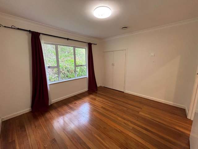 Shetland Street Glen Eden_2