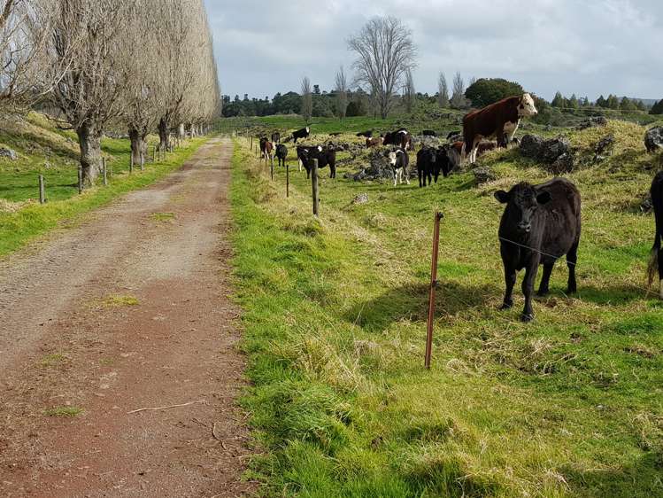 7045 State Highway 1 Pakaraka_17