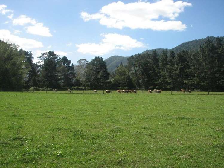 5 Gravesons Road Okauia_9