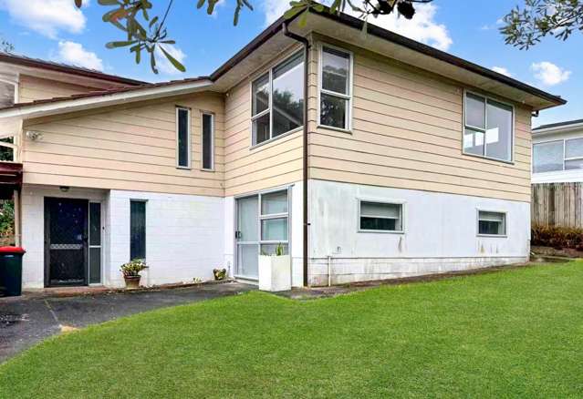 Spacious family home - new renovated