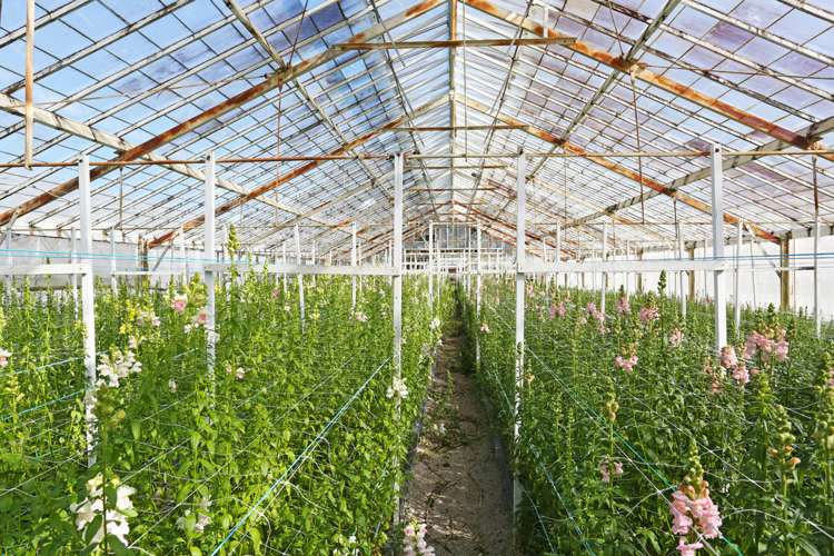 69 Drury Hills Road Drury_8