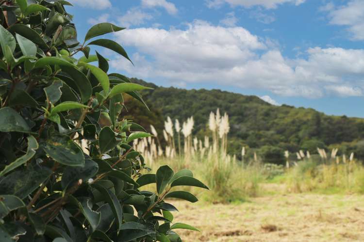 843 Whangarei Heads Road Parua Bay_7