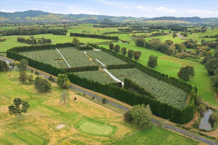 79 Woodlands Road Waihi Beach_23