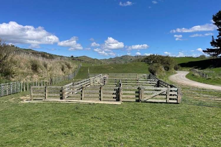 105 Whaka Road Taihape_19