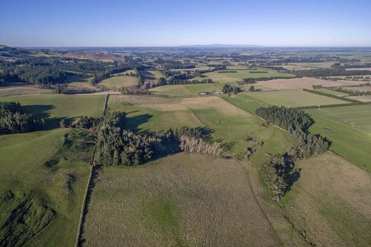 828 Downs Road Hororata_5