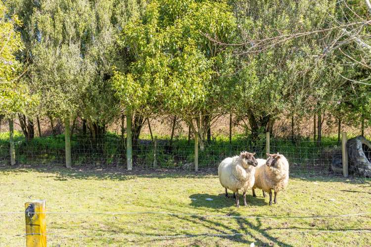 7 Ngahuia Place Te Awamutu_37