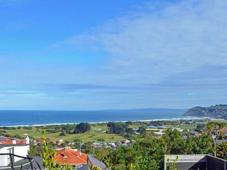 11 Oakland Street Andersons Bay_3