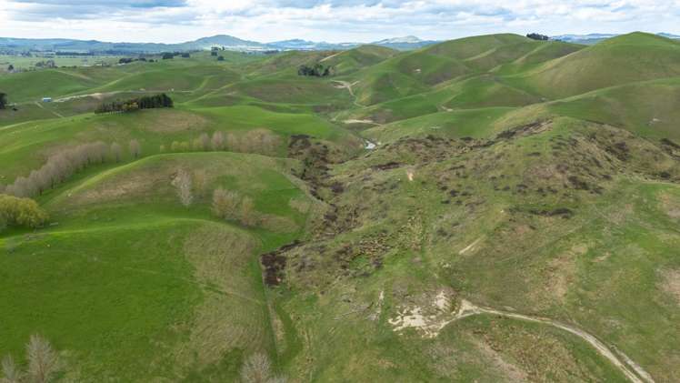 133 Pourerere Road Waipawa_6