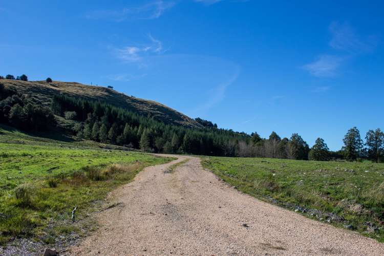 Alford Forest Settlement Road Mount Somers_9