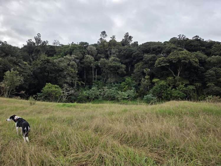 00 Waitaheke Road Ohaeawai_15